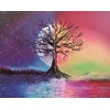 RAINBOW Deimantinio paveikslo-mozaikos 5D rinkinys (akučių klijavimas) 25x30 cm DK32223