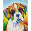 RAINBOW Deimantinio paveikslo-mozaikos 5D rinkinys (akučių klijavimas) 30x40 cm DK41003