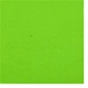 RAINBOW Dekoratyvinis veltinis 2 mm, 100x100 cm, spalva 204