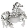 RAINBOW Sagė
