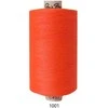 Siuvimo siūlai Nr. 120 RainBow® CORI C452 1000 m, spalva 1001