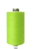 Siuvimo siūlai Nr. 120 RainBow® CORI C452 1000 m, spalva 1002