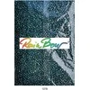Stikliniai apvalūs karoliukai (biseris) Nr. 6/0 RainBow® 500g, spalva 107B