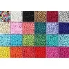 Stiklinių apvalių karoliukų (biserio) 6/0 RainBow® 24 spalvų po 10 g rinkinys, ryškus
