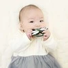 Kramtukas kūdikiams EDISONmama „Kamikami Baby Dragonfly“, nuo 3 mėn., KJ420377