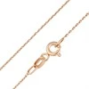 Auksinė grandinėlė "Anchor" Brasco 60292