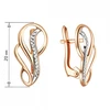 Auksiniai auskarai Brasco 65006