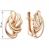 Auksiniai auskarai Brasco 65011