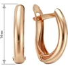 Auksiniai auskarai Brasco 65020