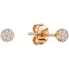 Auksiniai auskarai su cirkoniais Brasco 46774