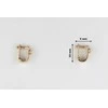 Auksiniai auskarai su cirkoniais Brasco 52451