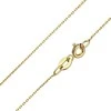 Geltono aukso grandinėlė "Anchor" Brasco 63266