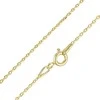 Paauksuota sidabrinė grandinėlė "Anchor" Brasco 48834