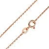 Paauksuota sidabrinė grandinėlė "Anchor" Brasco 62651