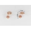 Paauksuoti sidabriniai auskarai su cirkoniais Brasco 54032
