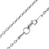 Sidabrinė grandinėlė "Anchor" Brasco 48840
