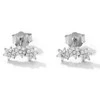 Sidabriniai auskarai su cirkoniais Brasco 60472