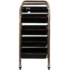 Activeshop Kirpėjo vežimėlis GABBIANO HAIRDRESSER HELPER GOLD