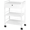 Activeshop Kosmetologinis vežimėlis 1019 GIOVANNI