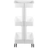 Activeshop Kosmetologinis vežimėlis PLASTIC 084