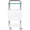 Activeshop Kosmetologinis vežimėlis 6052 Baltas