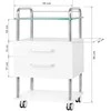 Activeshop Kosmetologinis vežimėlis 6052 Baltas