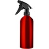 Aliuminio vandens purškiklis Activeshop, 200 ml, 1 vnt.