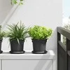 Apvalus gėlių padėklas 6 pcs Juoda Ø 14 x 2 cm Plastmasė