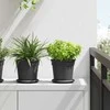 Apvalus gėlių padėklas 6 pcs Juoda Ø 15,5 x 2 cm Plastmasė