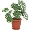 Apvalus gėlių padėklas 6 pcs Raudona plyta Ø 21,5 x 2,5 cm
