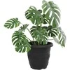 Apvalus gėlių vazonas 24 pcs Juoda Ø 34 x 28 cm Plastmasė