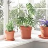 Apvalus gėlių vazonas 24 pcs Raudona plyta Ø 19 x 16 cm