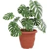 Apvalus gėlių vazonas 24 pcs Raudona plyta Ø 34 x 28 cm