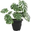Apvalus gėlių vazonas 6 vnt. Juoda Ø 22 x 18 cm Plastmasė