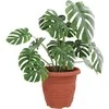 Apvalus gėlių vazonas 6 pcs Raudona plyta Ø 30 x 25 cm