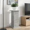 Augalų stovas 2 pcs Betono pilka 305 x 30 x 605 cm
