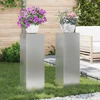 Augalų stovas 2 pcs Sidabro 24 x 24 x 75 cm