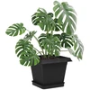 Augalų vazonai 24 pcs Juoda 16 x 16 x 14 cm Plastmasė