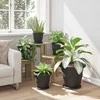 Augalų vazonai 24 pcs Juoda Ø 26 x 21.5 cm Plastmasė