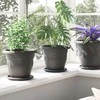 Augalų vazonai 24 pcs Juoda Ø 26 x 21.5 cm Plastmasė