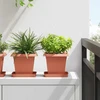 Augalų vazonai 24 pcs Raudona plyta 16 x 16 x 14 cm Plastmasė