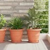 Augalų vazonai 24 pcs Raudona plyta Ø 26 x 21.5 cm Plastmasė