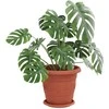 Augalų vazonai 24 pcs Raudona plyta Ø 26 x 21.5 cm Plastmasė