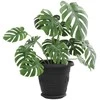 Augalų vazonai 6 pcs Juoda Ø 26 x 21.5 cm Plastmasė