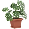 Augalų vazonai 6 pcs Raudona plyta 20 x 20 x 16 cm Plastmasė