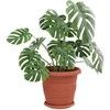 Augalų vazonai 6 pcs Raudona plyta Ø 26 x 21.5 cm Plastmasė