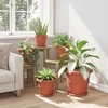 Augalų vazonai 6 pcs Raudona plyta Ø 26 x 21.5 cm Plastmasė