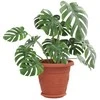 Augalų vazonai 6 pcs Raudona plyta Ø 26 x 21.5 cm Plastmasė