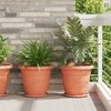Augalų vazonai 6 pcs Raudona plyta Ø 39 x 32 cm Plastmasė