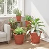 Augalų vazonai 6 pcs Raudona plyta Ø 34 x 28 cm Plastmasė